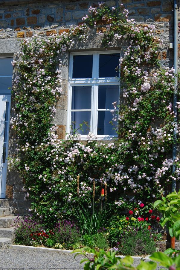 Maison Voie Verte Bion Extérieur photo